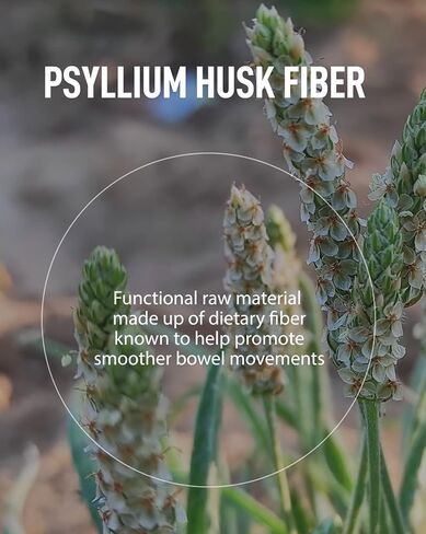 FromBIO HealthyFit Dibab Garcinia Cambogia & Psyllium Husk 5g per Serving (30 Packets) in Kuwait