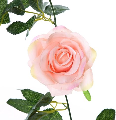 Felice Arts 2 Pack Champagne Rose Garland 13 FT Fake Flower Garland for Valentine's Day Wedding Table Arrangement DIY Flower Wreath Decor in Saudi Arabia