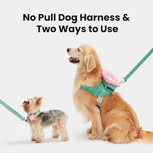 VETRESKA Flora Dog Harness، مجموعة المقود والياقة، بدون سحب سترة الكلب للمشي والتدريب، قابل للتعديل، سهل التحكم وحزام الحيوانات الأليفة المبطن الناعم وحقيبة الظهر للكلاب الصغيرة والمتوسطة والكبيرة، XXS in Kuwait