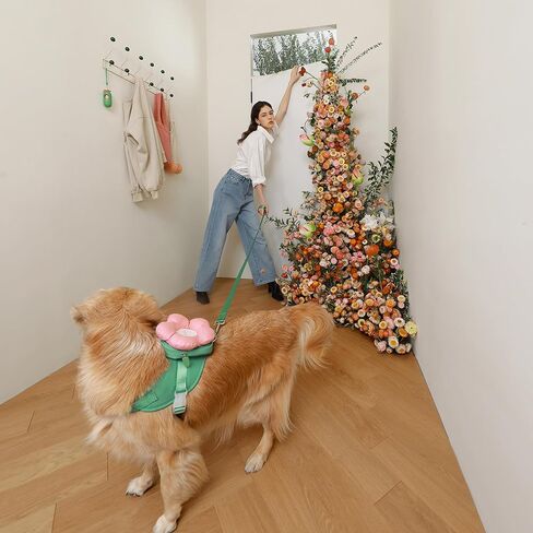 VETRESKA Flora Dog Harness، مجموعة المقود والياقة، بدون سحب سترة الكلب للمشي والتدريب، قابل للتعديل، سهل التحكم وحزام الحيوانات الأليفة المبطن الناعم وحقيبة الظهر للكلاب الصغيرة والمتوسطة والكبيرة، XXS in Kuwait
