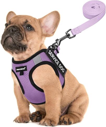 FAYOGOO Service Dog Vest Set for Small Dogs, Mesh Harness and Leash in Kuwait