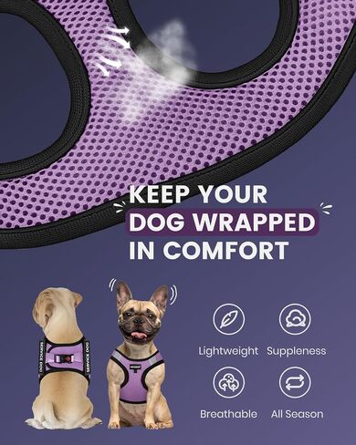 FAYOGOO Service Dog Vest Set for Small Dogs, Mesh Harness and Leash in Kuwait