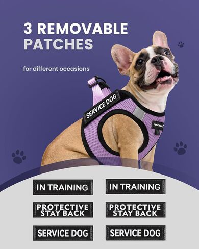 FAYOGOO Service Dog Vest Set for Small Dogs, Mesh Harness and Leash in Kuwait