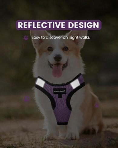 FAYOGOO Service Dog Vest Set for Small Dogs, Mesh Harness and Leash in Kuwait