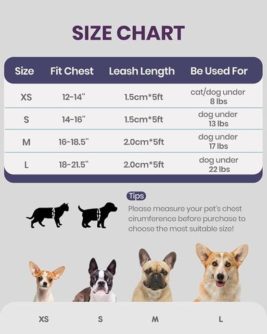FAYOGOO Service Dog Vest Set for Small Dogs, Mesh Harness and Leash in Kuwait