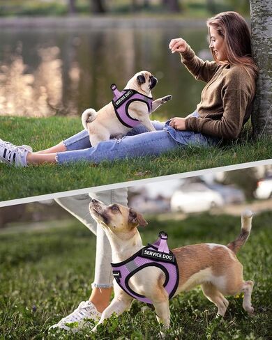 FAYOGOO Service Dog Vest Set for Small Dogs, Mesh Harness and Leash in Kuwait