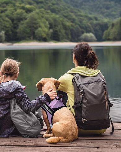 FAYOGOO Service Dog Vest Set for Small Dogs, Mesh Harness and Leash in Kuwait