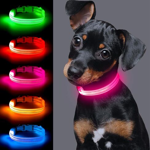 طوق كلب مضيء للكلاب الصغيرة، طوق Vizpet XS قابل للتعديل بحجم نايلون قابل لإعادة الشحن عبر USB، طوق آمن للحيوانات الأليفة للقطط والكلاب (أخضر) in Kuwait