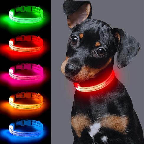 طوق كلب مضيء للكلاب الصغيرة، طوق Vizpet XS قابل للتعديل بحجم نايلون قابل لإعادة الشحن عبر USB، طوق آمن للحيوانات الأليفة للقطط والكلاب (أخضر) in Kuwait