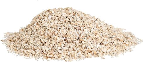 Zilla Lizard Litter, 4-Quart in Saudi Arabia