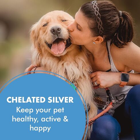 جل الجروح PetSilver مع مركب AG21 وزيت القنب | مخلبي فضة 200 جزء في المليون | الكلاب والقطط | الجروح | النقاط الساخنة | حكة | تهيجات الجلد | بيرنز | طفح جلدي | القروح | الإغاثة المثلية | 4 أوقيات in Kuwait