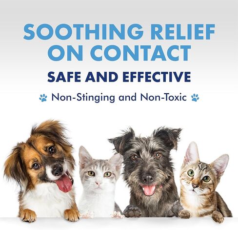 جل الجروح PetSilver مع مركب AG21 وزيت القنب | مخلبي فضة 200 جزء في المليون | الكلاب والقطط | الجروح | النقاط الساخنة | حكة | تهيجات الجلد | بيرنز | طفح جلدي | القروح | الإغاثة المثلية | 4 أوقيات in Kuwait