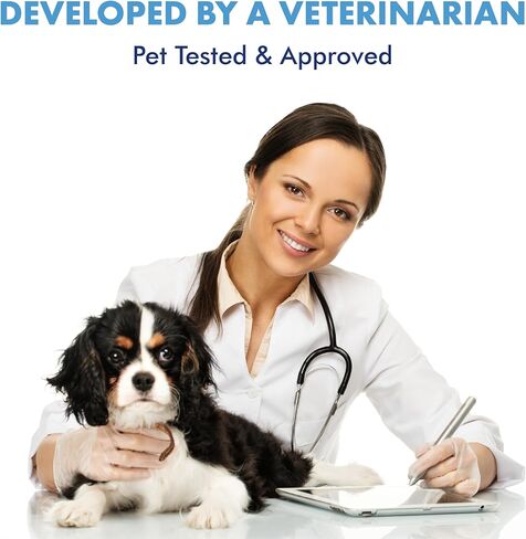 جل الجروح PetSilver مع مركب AG21 وزيت القنب | مخلبي فضة 200 جزء في المليون | الكلاب والقطط | الجروح | النقاط الساخنة | حكة | تهيجات الجلد | بيرنز | طفح جلدي | القروح | الإغاثة المثلية | 4 أوقيات in Kuwait