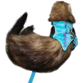 Ferret Harness and Leash Set with Safe Bell Dinosaur Shaped Walking Clothes for Baby Rabbit Guinea Pig Teacup Chihuahua Mouse and Other Small pet. (Blue-2, Dinosaur)