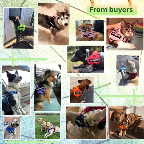 voopet Service Dog Harness, Emotional Support Pet Vest Harness, Reflective Breathable & Adjustable No Pull ESA Harness for Small Medium Large Dogs (with 4 PCS Removeable Tags),XX Small (Pack of 1) in Kuwait
