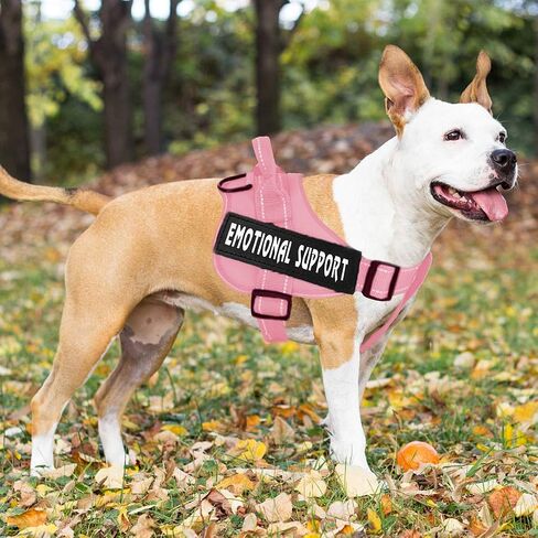 voopet Service Dog Harness, Emotional Support Pet Vest Harness, Reflective Breathable & Adjustable No Pull ESA Harness for Small Medium Large Dogs (with 4 PCS Removeable Tags),XX Small (Pack of 1) in Kuwait