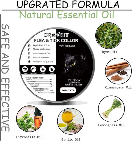 Flea and Tick Collar for Cat, Repels Fleas & Ticks, Natural Essential Oils, Allergy Prevention, 8 Months Protection, Adjustable & Waterproof (2 Packs) in Kuwait