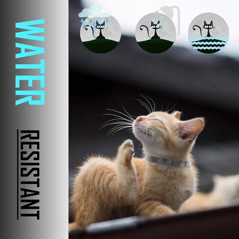 Flea and Tick Collar for Cat, Repels Fleas & Ticks, Natural Essential Oils, Allergy Prevention, 8 Months Protection, Adjustable & Waterproof (2 Packs) in Kuwait