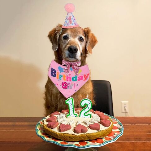 ADOGGYGO Dog Birthday Party Supplies, Boy Girl Dog Birthday Hat with Numbers Dog Puppy Birthday Bandana Hat Bow Set for Medium Large Dogs (Large, Pink) in Saudi Arabia