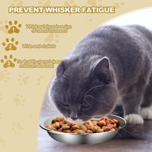 Cat Bowls for Food and Water, 12 PCS Stainless Steel Shallow Cat Bowl, Whisker-Friendly & Stackable - Dishwasher Safe Cat Dishes Cat Feeding Bowl, 5.5 Inches Cat Plates for Small Dogs and Cats in Kuwait