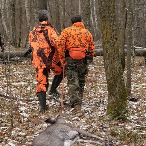 Hunthor حبل سحب الغزلان بطول 6.3 قدم مع مقبض لمعدات الصيد، وحزام سحب الغزلان بوزن 600 رطل، وإكسسوارات صيد الغزلان للعبة الكبيرة والصغيرة in Kuwait