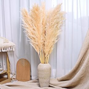 SREED 20 Pcs 23 Inch Tall Fluffy Pampas Grass XL Size White Dry Pompous Grass Decor Wedding Flower Boho Decor Natural Pompas Flower Bouquet(White, 23 inch)