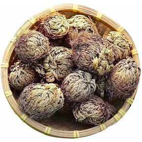 Rose of Jericho in Kuwait