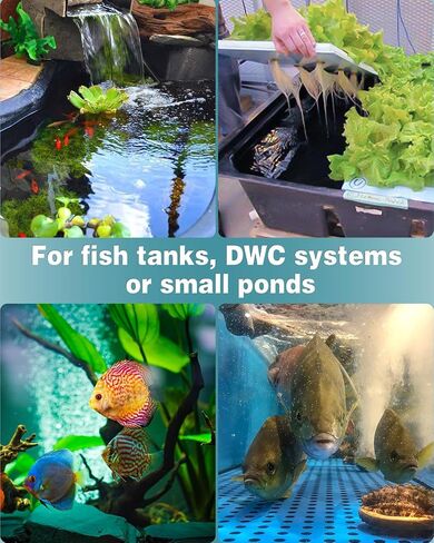 Pawfly Aquarium 8 Inch Air Stone Cylinder for Larger Air Pump Bubble Diffuser Release Tool for Outdoor Pond Garden Circulation System and Large Fish Tanks, 2 Pack in Kuwait