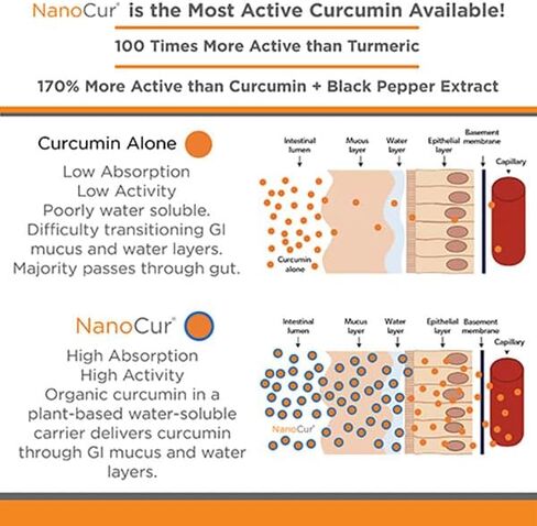 Nanocur Turmeric Curcumin - 100x More Active Than Turmeric, 170% More Active Than Curcumin + Black Pepper Extract. Joint Support, Relief, and Energy You’ll Feel. Organic Curcumin/Plant-Based Carrier. in Saudi Arabia