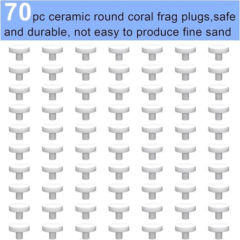 Ceramic White Coralline Coral frag Plugs Coral frag Base Round 20pc in Saudi Arabia