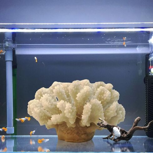 PINVNBY زخرفة المرجان الاصطناعي تحت الماء نباتات البحر ديكورات نباتات حوض السمك المصنوعة من الراتنج لديكور حوض الأسماك والمناظر الطبيعية (أبيض) in Kuwait