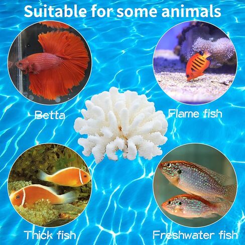 PINVNBY زخرفة المرجان الاصطناعي تحت الماء نباتات البحر ديكورات نباتات حوض السمك المصنوعة من الراتنج لديكور حوض الأسماك والمناظر الطبيعية (أبيض) in Kuwait