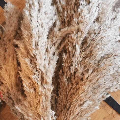 SREED 20 Pcs 23 Inch Tall Fluffy Pampas Grass XL Size White Dry Pompous Grass Decor Wedding Flower Boho Decor Natural Pompas Flower Bouquet(White, 23 inch) in Kuwait