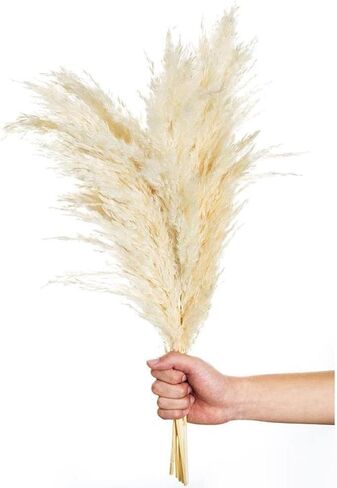 SREED 20 Pcs 23 Inch Tall Fluffy Pampas Grass XL Size White Dry Pompous Grass Decor Wedding Flower Boho Decor Natural Pompas Flower Bouquet(White, 23 inch) in Saudi Arabia