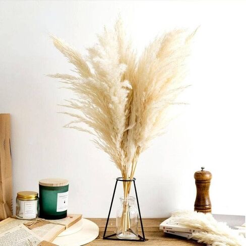 SREED 20 Pcs 23 Inch Tall Fluffy Pampas Grass XL Size White Dry Pompous Grass Decor Wedding Flower Boho Decor Natural Pompas Flower Bouquet(White, 23 inch) in Saudi Arabia