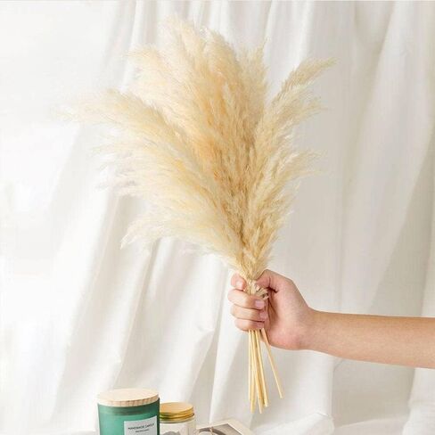 SREED 20 Pcs 23 Inch Tall Fluffy Pampas Grass XL Size White Dry Pompous Grass Decor Wedding Flower Boho Decor Natural Pompas Flower Bouquet(White, 23 inch) in Saudi Arabia