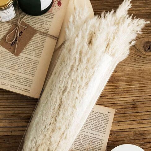SREED 20 Pcs 23 Inch Tall Fluffy Pampas Grass XL Size White Dry Pompous Grass Decor Wedding Flower Boho Decor Natural Pompas Flower Bouquet(White, 23 inch) in Saudi Arabia