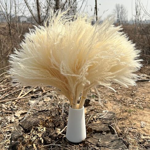 SREED 20 Pcs 23 Inch Tall Fluffy Pampas Grass XL Size White Dry Pompous Grass Decor Wedding Flower Boho Decor Natural Pompas Flower Bouquet(White, 23 inch) in Saudi Arabia