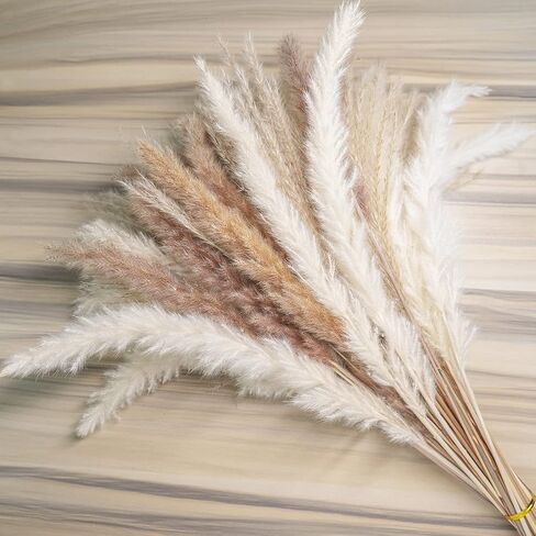 60 قطعة من Pampas Grass 20 قطعة من بامبينا بيضاء و 20 قطعة من الببغاوات البنية و 20 قطعة ديكور بوهو عشبي قصب ، ديكورات الزفاف (بدون مزهرية) in Kuwait