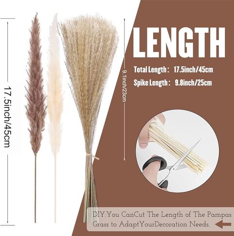 60 قطعة من Pampas Grass 20 قطعة من بامبينا بيضاء و 20 قطعة من الببغاوات البنية و 20 قطعة ديكور بوهو عشبي قصب ، ديكورات الزفاف (بدون مزهرية) in Kuwait