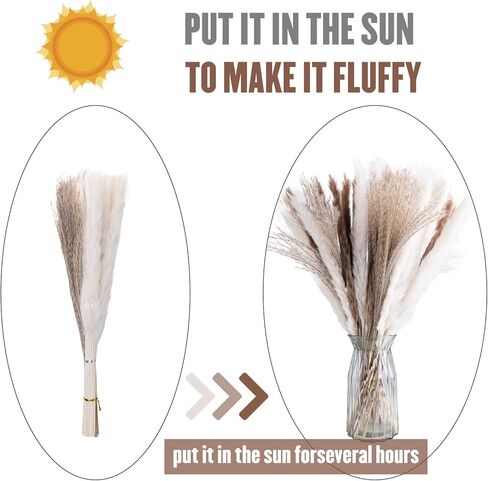 60 قطعة من Pampas Grass 20 قطعة من بامبينا بيضاء و 20 قطعة من الببغاوات البنية و 20 قطعة ديكور بوهو عشبي قصب ، ديكورات الزفاف (بدون مزهرية) in Kuwait