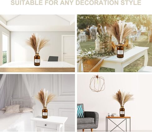 60 قطعة من Pampas Grass 20 قطعة من بامبينا بيضاء و 20 قطعة من الببغاوات البنية و 20 قطعة ديكور بوهو عشبي قصب ، ديكورات الزفاف (بدون مزهرية) in Kuwait
