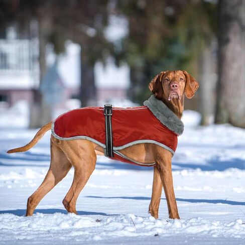 معطف الكلب OUOBOB، سترات للكلاب المتوسطة الحجم، سترة مضادة للماء للكلاب، معطف ثلج دافئ عاكس للكلاب، ملابس الطقس للكلاب، بدلة ثلج للكلاب قابلة للتعديل مقاومة للرياح مع بطانة من الصوف البلدغ الفرنسي الأرجواني XL in Kuwait