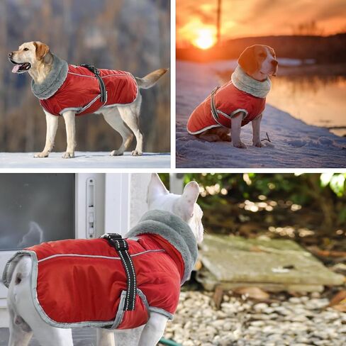 معطف الكلب OUOBOB، سترات للكلاب المتوسطة الحجم، سترة مضادة للماء للكلاب، معطف ثلج دافئ عاكس للكلاب، ملابس الطقس للكلاب، بدلة ثلج للكلاب قابلة للتعديل مقاومة للرياح مع بطانة من الصوف البلدغ الفرنسي الأرجواني XL in Kuwait