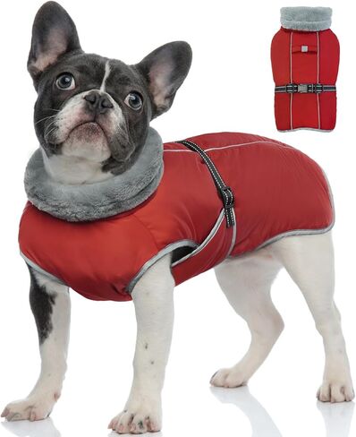 معطف الكلب OUOBOB، سترات للكلاب المتوسطة الحجم، سترة مضادة للماء للكلاب، معطف ثلج دافئ عاكس للكلاب، ملابس الطقس للكلاب، بدلة ثلج للكلاب قابلة للتعديل مقاومة للرياح مع بطانة من الصوف البلدغ الفرنسي الأرجواني XL in Kuwait