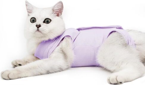 DOTON Cat Recovery Suit for Male and Female Surgical Post Surgery Soft Cone Onesie Shirt Clothes Neuter Licking Protective Diapers Outfit Cover Kitten Spay Collar(S, Purple) in Kuwait