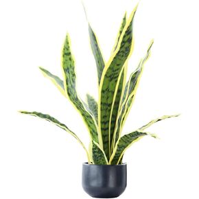 Beebel نبات الأفعى الاصطناعي 22 بوصة نباتات Sansevieria المزيفة بوعاء نباتات بلاستيكية خضراء مثالية لنباتات الصبار الصناعي لتزيين المنزل والمكتب والمتجر