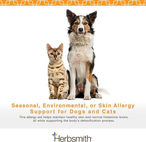 Herbsmith Clear AllerQi - مساعد الحساسية للقطط والكلاب - دعم حساسية الحيوانات الأليفة - حبوب مضادة للحكة للكلاب والقطط - مسحوق 500 جرام in Kuwait