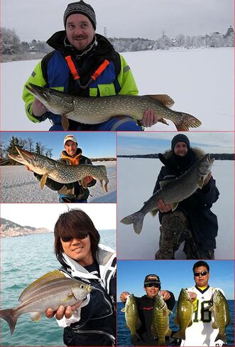 كيكيتوي طُعم صيد السمك في المياه المالحة على الشاطئ مع ثلاثة خطافات ثلاثية الشقوق من 5 قطع 14 سم 25 مل in Kuwait