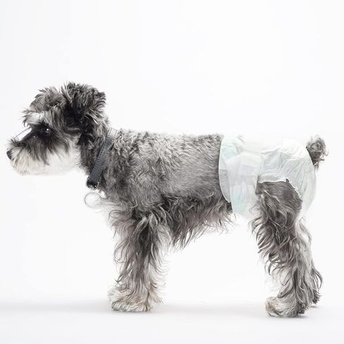 Dog Diapers Female, 30 PCS Disposable Dog Diapers for Different Sized Dogs, Absorbent with Wetness Indicator (M) in Kuwait